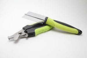 Dog Clipper Tips and How To