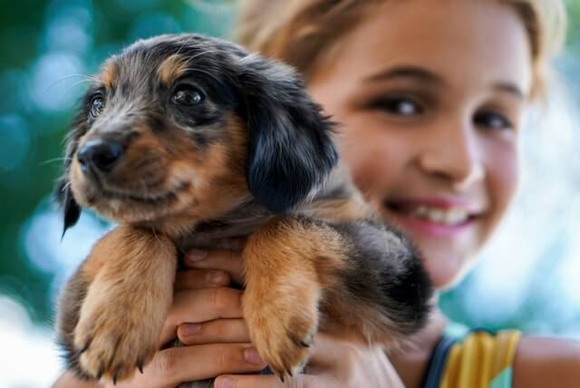 How To Choose The Right Dog For Your Children?