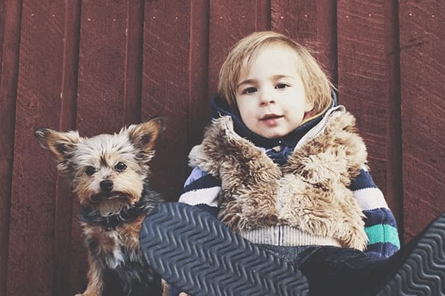 Dogs and Children , 9 tips for a healthy relationship