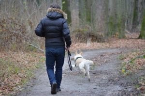 what is the least effective method to retrieve a dog that has got off leash?