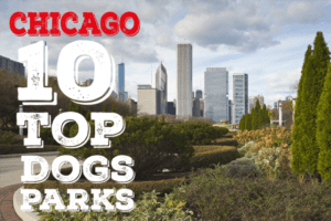 chicago 10 top dogs parks