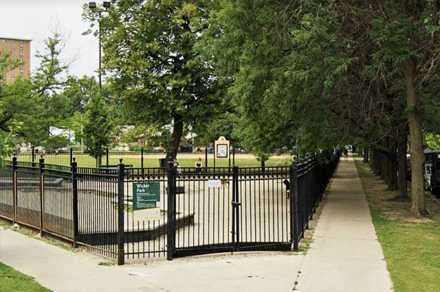 chicago 10 top dogs parks