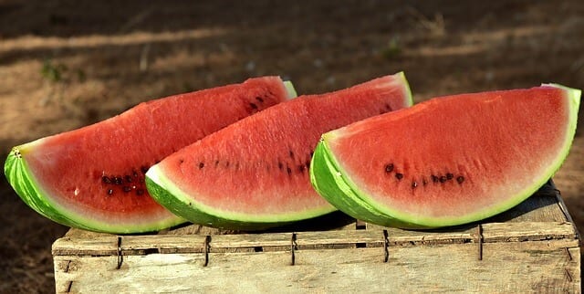 Can Horses Eat Watermelon: Pulp, Skin or Seeds?