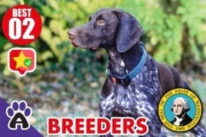 2 Best Reviewed German Shorthaired Breeders In Washington 2021 (Puppies For Sale)