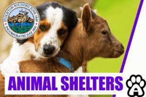 Best Animal Shelters in Stockton, CA (2022) Price & Guide