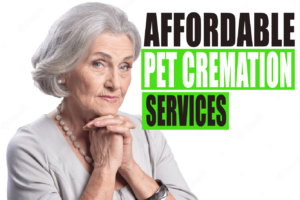 Pet funeral services