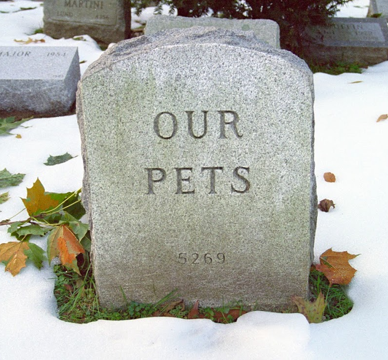 Pet funeral service