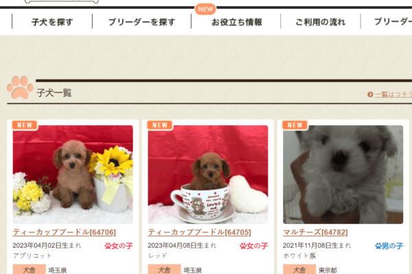 dog-breeders-in-japan