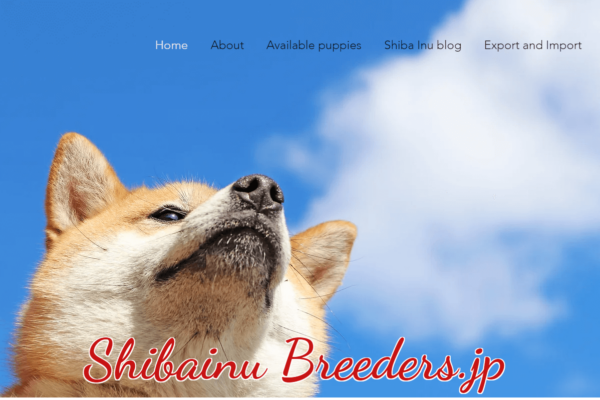 dog-breeders-in-japan