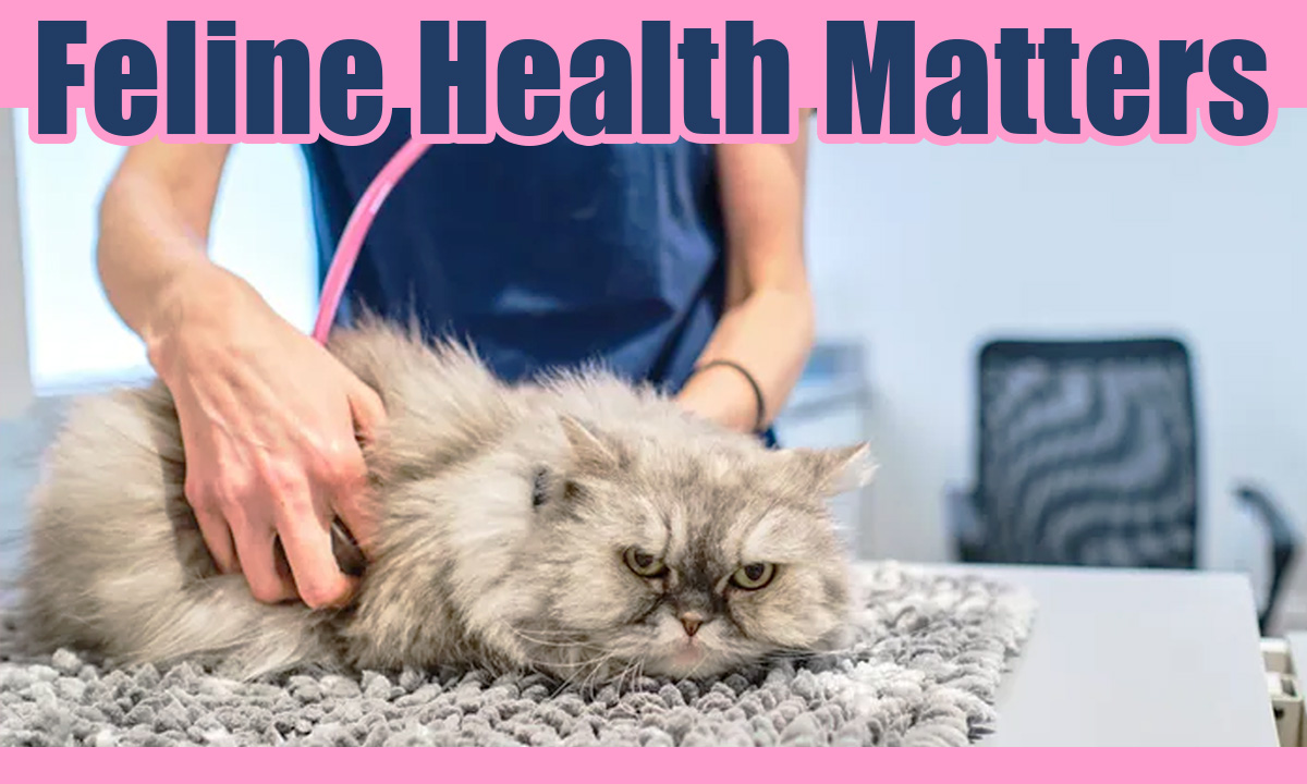 Feline Health Matters