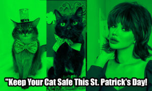 Keep Your Cat Safe This St. Patrick's Day!